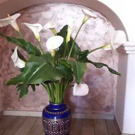 Fiorentino Bed & Breakfast